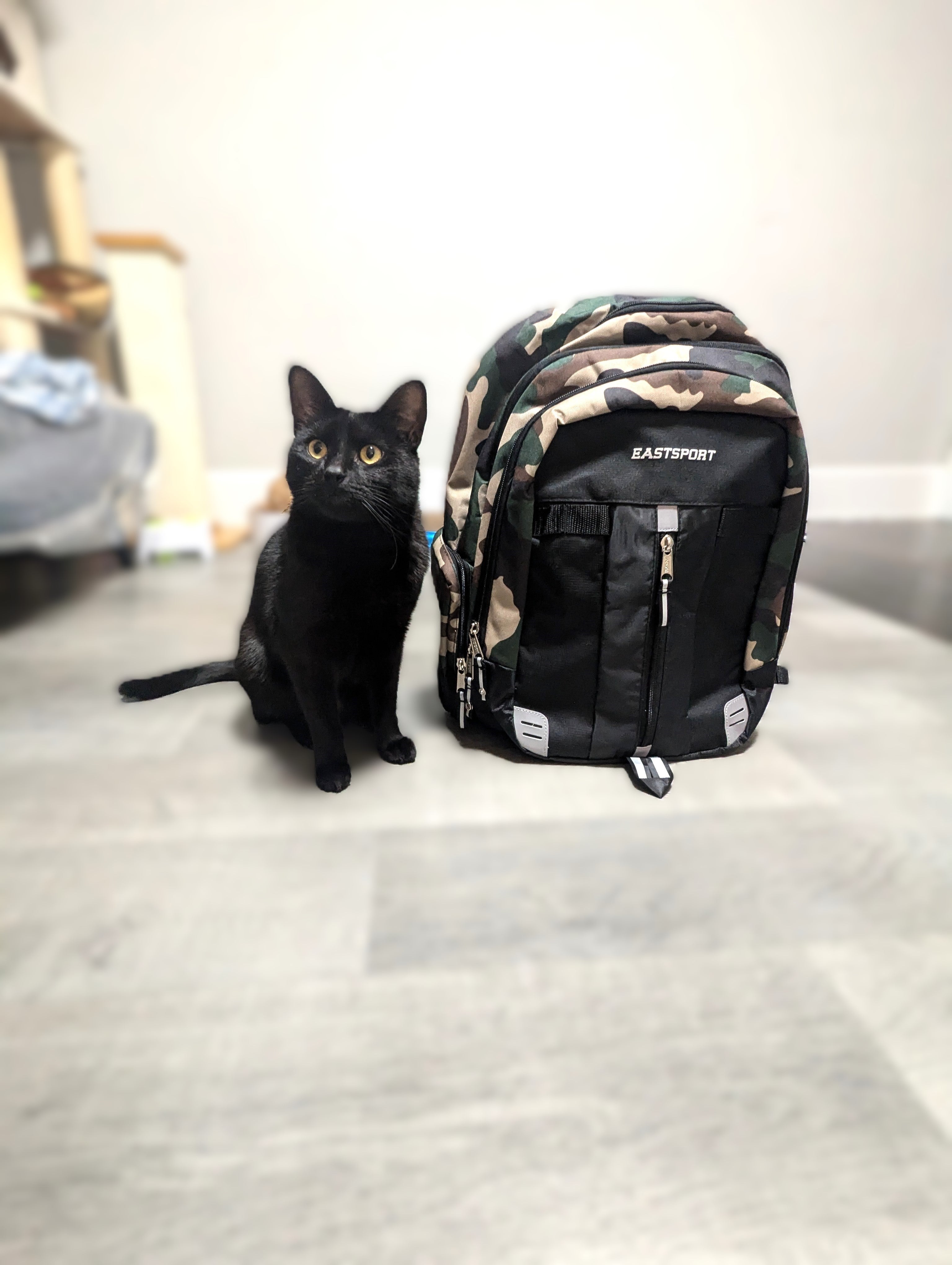 Latest in Backpack News